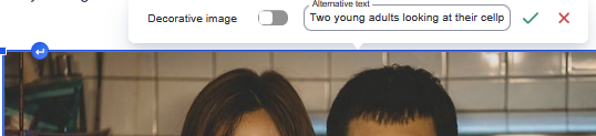 viewed-image-alt-text